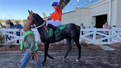 horse racing rules for jockeys|The Role Of Jockeys In Horse Racing.